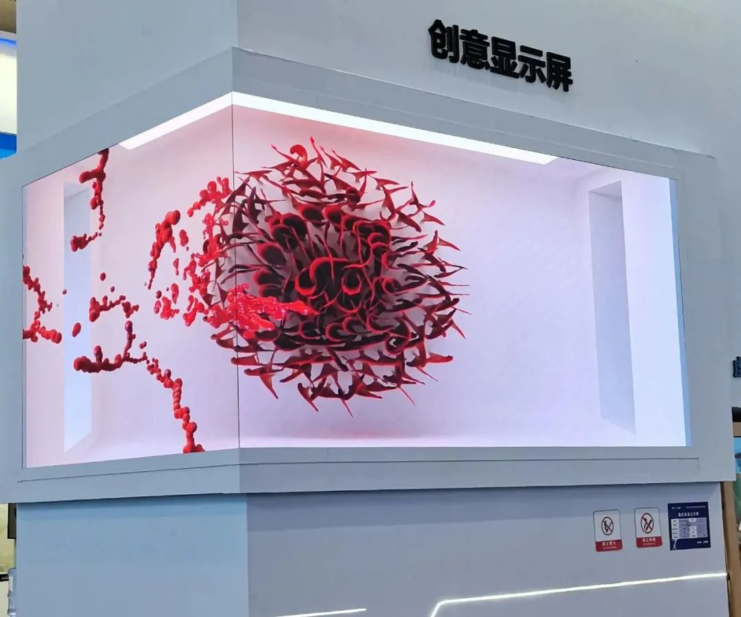 惊艳亮相南博会 | 金年会·jinnian(金子招牌)打造视觉盛宴