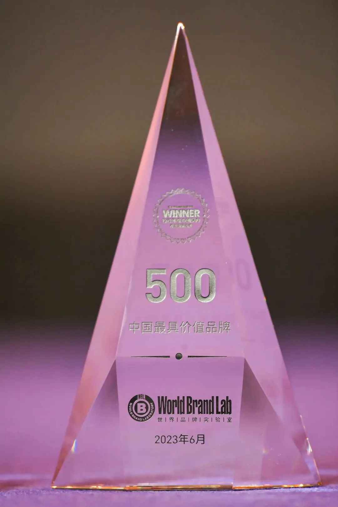 权威认证 金年会·jinnian(金子招牌)入选中国500最具价值品牌