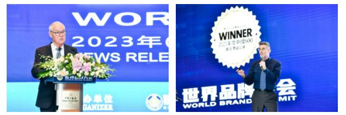 权威认证 金年会·jinnian(金子招牌)入选中国500最具价值品牌