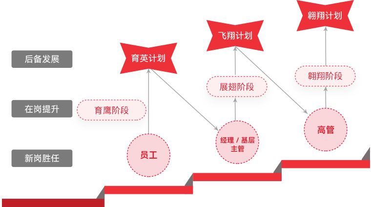 金年会·jinnian(金子招牌) "雄鹰计划"人才梯队培养